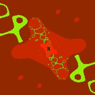 biomorfi
