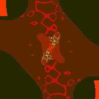 biomorfi