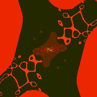 biomorfi