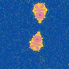 bioe1.jpg (24168 bytes)