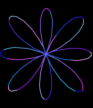 rosa8