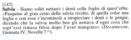 num34.jpg